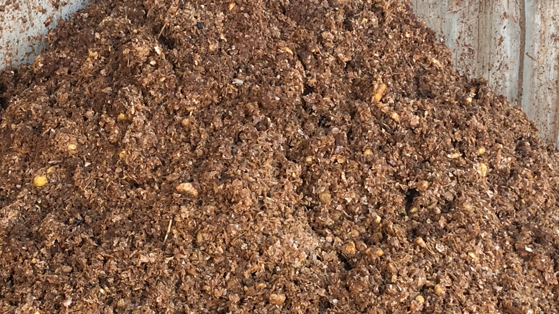 雲南生（shēng）薑脫水物料